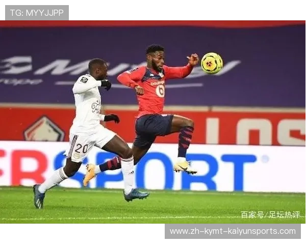 法甲外援技术适应性分析及其对联赛适应过程的揭示